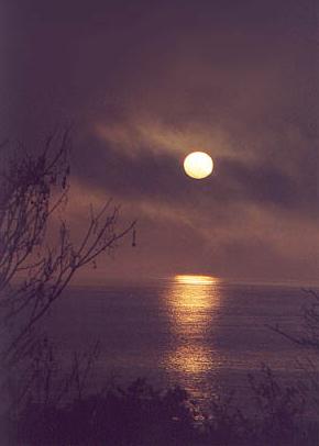Pacific Moonrise